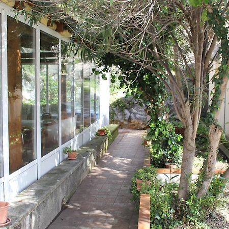 Guest House Katic تربانج المظهر الخارجي الصورة